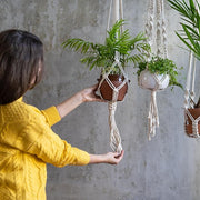 Reach Plant Pulley